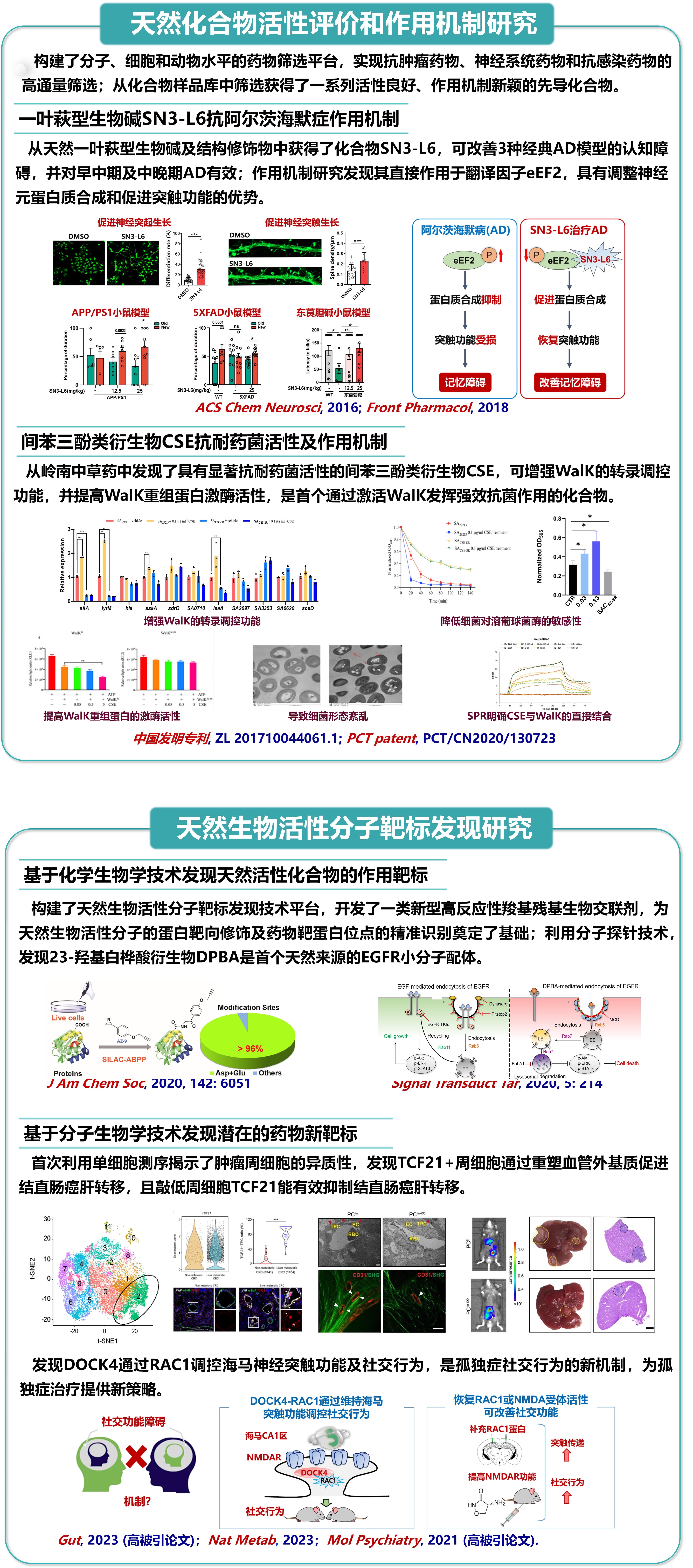 研究方向3-天然化合物的活性评价.jpeg
