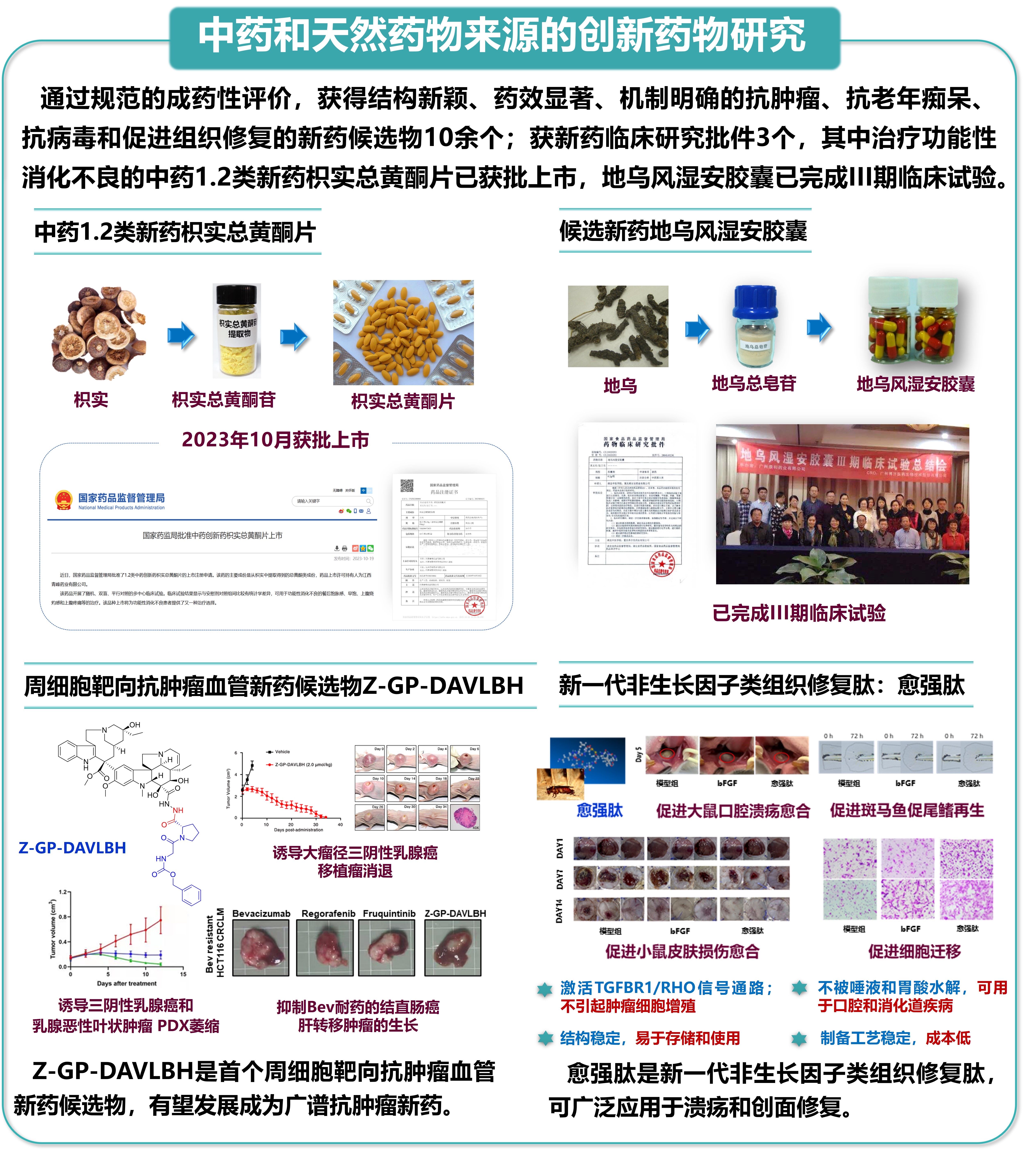 研究方向4-中药和天然药物来源的创新药物研究.jpeg